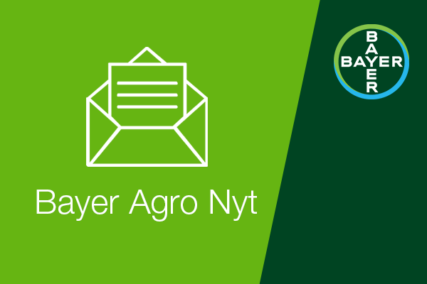 Ikon til tilmelding til nyhedsbrev